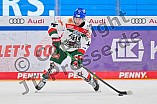 Eishockey, Herren, DEL, Saison 2024-2025, Spieltag 35, ERC Ingolstadt - Augsburger Panther, 10.01.2025