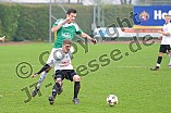 22.11.2014 - VfB Eichstätt - SpVgg Landshut