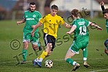 Fußball, Herren, Kreisklasse Neumarkt Jura Süd, Saison 2025-2026, Spieltag 16, DJK Pollenfeld - SG Röthenbach-Winkelhaid II, 16.11.2025