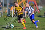 14.10.2018 - DJK Pollnfeld - TV Hilpoltstein