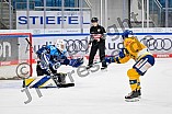 Eishockey, Frauen, DFEL, Saison 2025-2026, Testspiel, ERC Ingolstadt - HC Davos, 14.02.2026