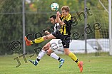 01.09.2018 - DJK Pollnfeld - TSV Röttenbach