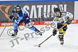Eishockey, Frauen, DFEL, Saison 2020-2021, ERC Ingolstadt - Mad Dogs Mannheim, 30.01.2021