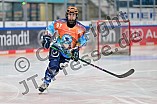 Eishockey, Frauen, DFEL, Saison 2024-2025, ERC Ingolstadt - Mad Dogs Mannheim, 23.11.2024