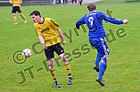 23.04.2016 - DJK Pollenfeld - TSV Spalt