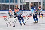 Eishockey, Frauen, DFEL, Saison 2024-2025, ERC Ingolstadt - Mad Dogs Mannheim, 23.11.2024