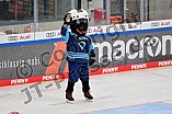 Eishockey, Herren, DEL, Saison 2022-2023, ERC Ingolstadt - Kids On Ice Day, 14.01.2023