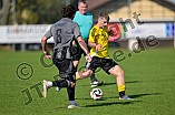 Fußball, Herren, Kreisklasse Neumarkt Jura Süd, Saison 2025-2026, Spieltag 8, DJK Pollenfeld - TSV Heideck II, 21.09.2025