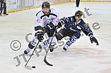 02.01.2015 - ERC Ingolstadt - Thomas Sabo Ice Tigers
