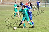 01.04.2013 - SV Marienstein - DJK Veitsaurach