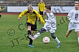 17.11.2013 - DJK Ingolstadt - SV Wettstetten