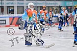 Eishockey, Frauen, DFEL, Saison 2024-2025, ERC Ingolstadt - Mad Dogs Mannheim, 23.11.2024