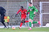 Fußball, Herren, Bayernliga Nord, Saison 2023-2024, Vorbereitung, VfB Eichstätt - ASV Neumarkt, 20.01.2024