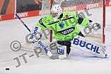 Eishockey, Herren, DEL, Saison 2020-2021, ERC Ingolstadt - Nürnberg Ice Tigers, 02.02.2021