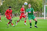 Fußball, Herren, Bayernliga Nord, Saison 2024-2025, Spieltag 13, VfB Eichstätt - ATSV Erlangen, 28.09.2024
