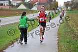 27.10.2013 - Lionslauf 2013