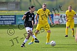 Fußball, Herren, Kreisklasse 1, Saison 2024-2025, Spieltag 21, FC Gelbelsee - SV Stammham, 27.04.2025