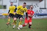 Fußball, Herren, Kreisklasse Neumarkt Jura Süd, Saison 2023-2024, Spieltag 14, DJK Pollenfeld - SG Thalmässing-Eysölden, 12.11.2023