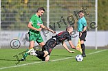 Fußball, Herren, Bayernliga Nord, Saison 2023-2024, Spieltag 18, ASV Neumarkt - VfB Eichstätt, 22.10.2023