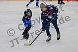 Eishockey, Herren, DEL, Saison 2024-2025, ERC Ingolstadt - Kids On Ice Day, 11.01.2025