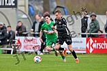 Fußball, Herren, Bayernliga Nord, Saison 2024-2025, Spieltag 27, VfB Eichstätt - DJK Gebenbach, 29.03.2025