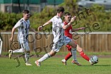 Fußball, Herren, Kreisliga 1, Saison 2024-2025, Spieltag 5, SV Eitensheim - TSV Hohenwart, 01.09.2024