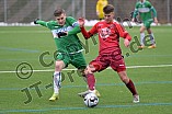 Fußball, Herren, Regionalliga Bayern, Saison 2021-2022, Testspiel, VfB Eichstätt - ASV Neumarkt, 29.01.2021
