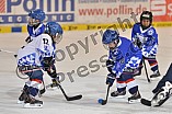 ERC Ingolstadt vs Straubing Tigers, Eishockey, DEL, Deutsche Eishockey Liga, 22.12.2015