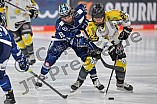 Eishockey, Frauen, DFEL, Saison 2021-2022, ERC Ingolstadt - Mad Dogs Mannheim, 23.10.2021
