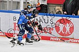 Eishockey, Frauen, DFEL, Saison 2023-2024, ERC Ingolstadt - EC Bergkamener Bären, 28.10.2023