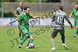 Fußball, Herren, Bezirksliga Oberbayern Nord, Saison 2023-2024, Vorbereitung, SV Manching - SV Fortuna Regensburg, 15.07.2023