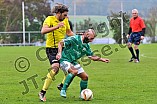 22.10.2016 - FC Gelbelsee - TSV Großmehring II