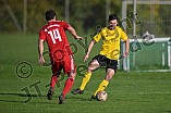 Fußball, Herren, Kreisklasse Neumarkt Jura Süd, Saison 2024-2025, Spieltag 13, DJK Pollenfeld - DJK Grafenberg, 03.11.2024