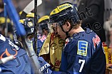 ERC Ingolstadt vs Grizzlys Wolfsburg, Eishockey, DEL, Deutsche Eishockey Liga, 31.01.2016