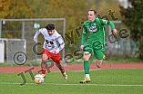 Fußball, Herren, Bayernliga Nord, Saison 2023-2024, Spieltag 20, VfB Eichstätt - ASV Cham, 04.11.2023