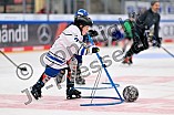 Eishockey, Saison 2025-2026, ERC Ingolstadt - Kids On Ice Day, 29.11.2025