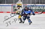 Eishockey, Frauen, DFEL, Saison 2023-2024, ERC Ingolstadt - Mad Dogs Mannheim, 18.02.2024