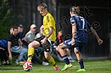 Fußball, Herren, Kreisklasse Neumarkt Jura Süd, Saison 2024-2025, Spieltag 7, DJK Pollenfeld - TSV Mörsdorf, 22.09.2024