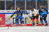 Eishockey, Frauen, DFEL, Saison 2024-2025, ERC Ingolstadt - EC Bergkamener Bären, 05.01.2025