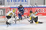 Eishockey, Frauen, DFEL, Saison 2021-2022, ERC Ingolstadt - Mad Dogs Mannheim, 24.10.2021