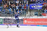 ERC Ingolstadt vs Thomas Sabo Ice Tigers, DEL, Deutsche Eishockey Liga, Spieltag 37, 06.01.2019