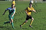 31.10.2015 - DJK Pollenfeld - SpVgg Wettelsheim
