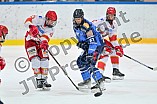 Eishockey, DNL Top Division Playoffs, Saison 2023-2024, Viertelfinale - Spiel 5, ERC Ingolstadt - EV Landshut, 12.03.2024