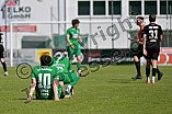 Fußball, Herren, Bayernliga Nord, Saison 2024-2025, Spieltag 33, VfB Eichstätt - ASV Cham, 10.05.2025