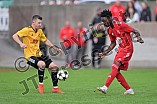 Fußball, Herren, Kreisliga 1, Saison 2024-2025, Spieltag 9, SV Eitensheim - TSV Lichtenau, 28.09.2024