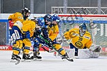 Eishockey, Frauen, DFEL, Saison 2025-2026, Testspiel, ERC Ingolstadt - HC Davos, 14.02.2026