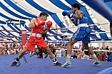 Boxen, Ländervergleichskampf Bayern vs. Baden-Württemberg, 03.09.2023
