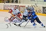Eishockey, Herren, DEL, Saison 2024-2025, ERC Ingolstadt - Iserlohn Roosters, 23.08.2024