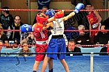 23.03.2013 - Bayerische Meisterschaften im Boxen (Jugend)