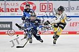Eishockey, Frauen, DFEL, Saison 2023-2024, ERC Ingolstadt - Mad Dogs Mannheim, 18.02.2024